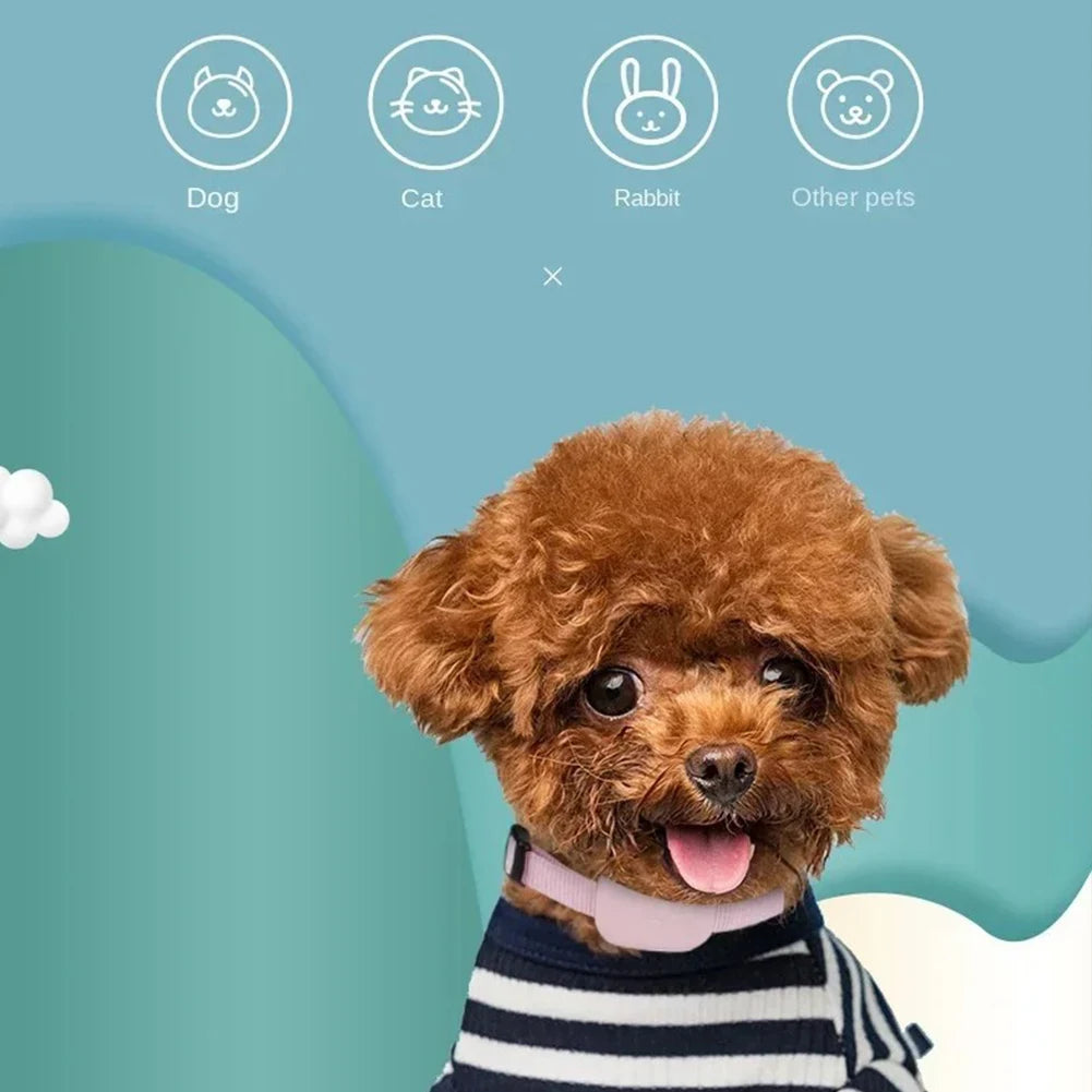 Collar GPS para Mascotas - Localizador en Tiempo Real para Perros y Gatos